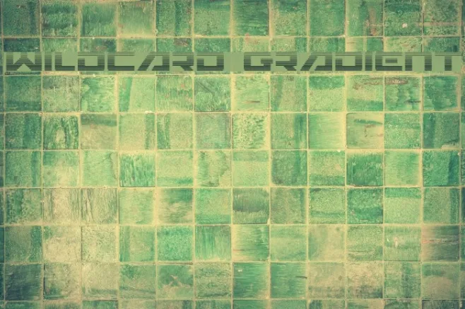 Wildcard Gradient Example 1