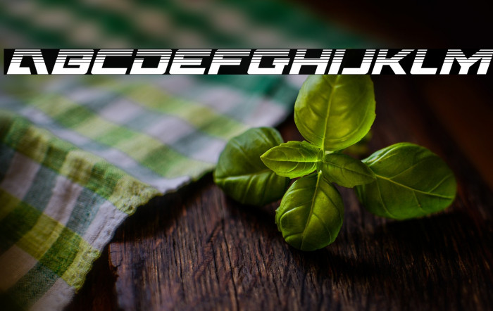 Wildcard Halftone Italic Example 2