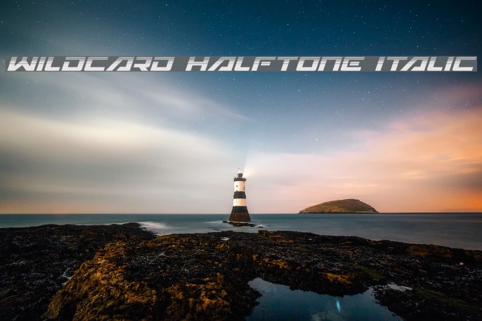 Wildcard Halftone Italic Example 1