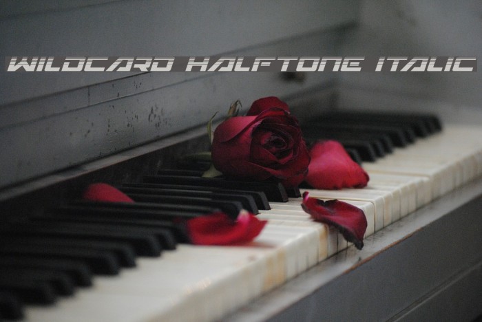 Wildcard Halftone Italic Example 2