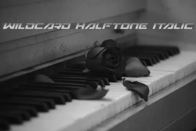 Wildcard Halftone Italic Font examples
