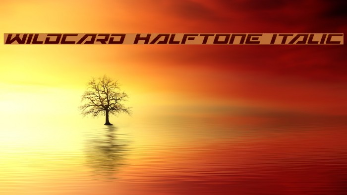 Wildcard Halftone Italic Example 3