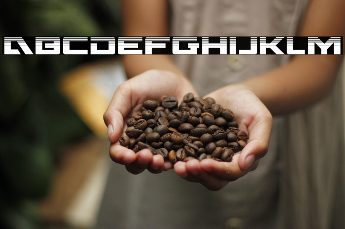 Wildcard Halftone Example 1