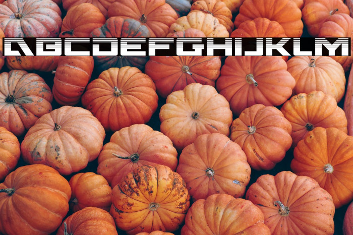 Wildcard Halftone Example 3