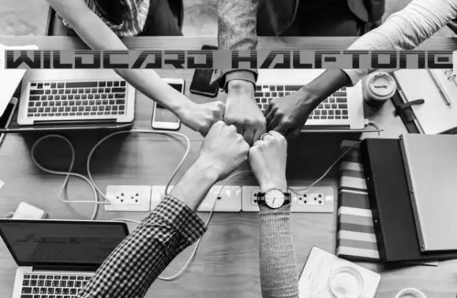 Wildcard Halftone Font examples