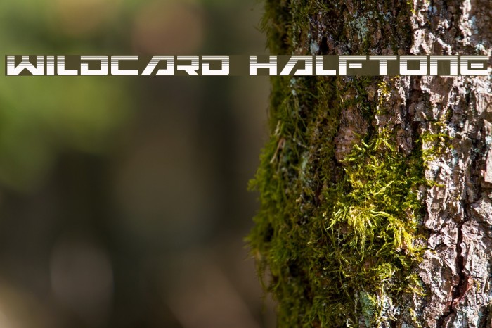 Wildcard Halftone Example 2