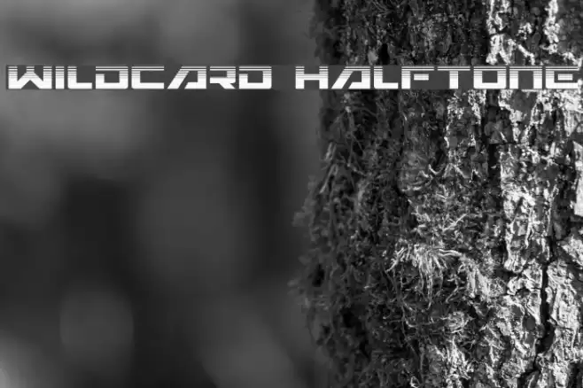 Wildcard Halftone Font examples