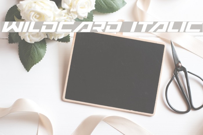 Wildcard Italic 字体 examples