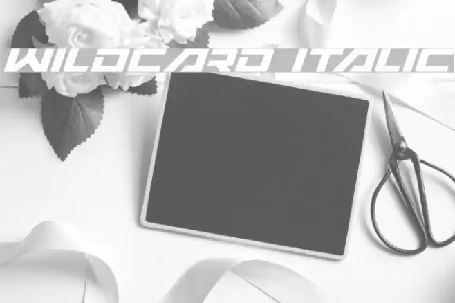 Wildcard Italic Font examples