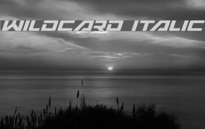 Wildcard Italic Font examples