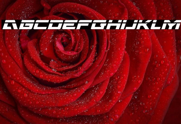 Wildcard Laser Italic Example 2