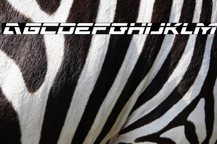 Wildcard Laser Italic Example 3