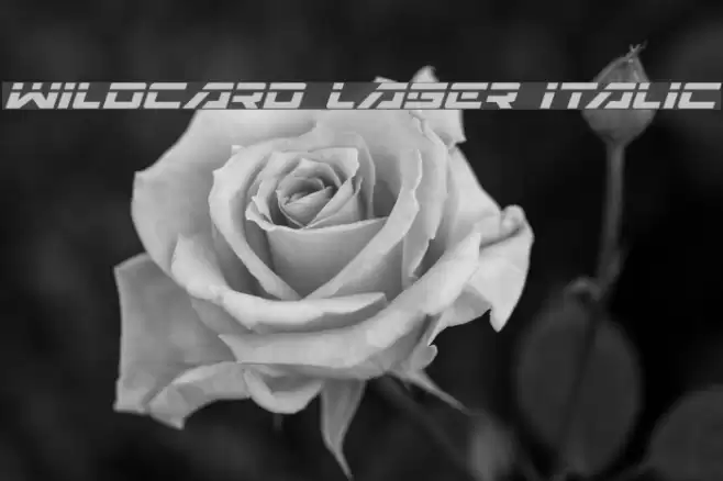 Wildcard Laser Italic Font examples