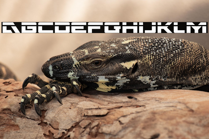 Wildcard Laser Example 3