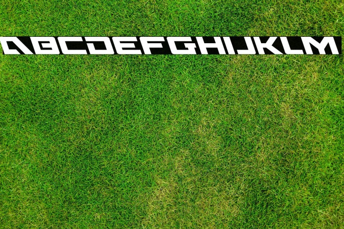 Wildcard Leftalic Example 1