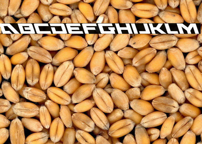 Wildcard Leftalic Example 3