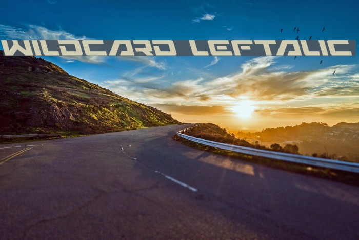 Wildcard Leftalic Font examples