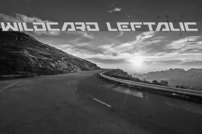 Wildcard Leftalic examples