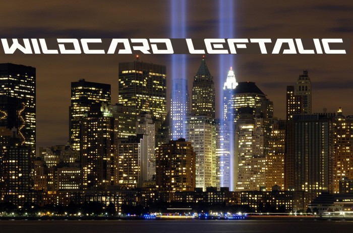Wildcard Leftalic Font examples