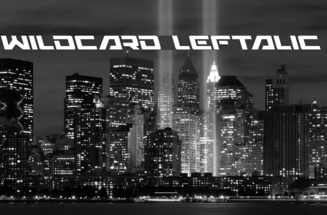 Wildcard Leftalic examples