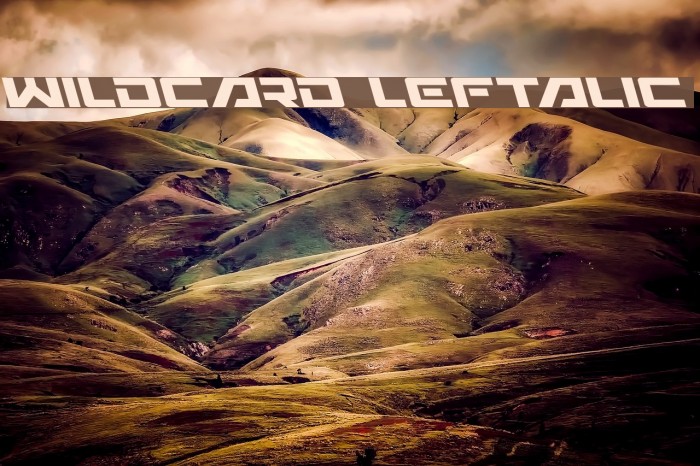 Wildcard Leftalic Font examples