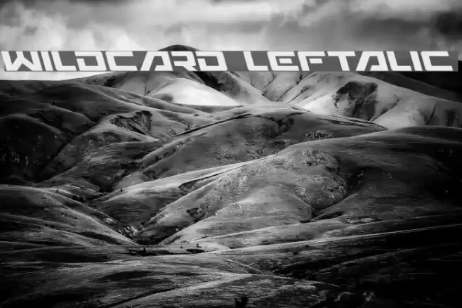 Wildcard Leftalic examples