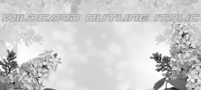 Wildcard Outline Italic Font examples