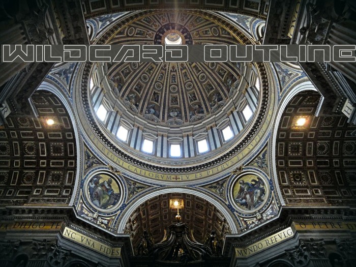 Wildcard Outline Example 2