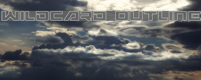 Wildcard Outline Example 3