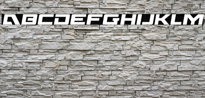 Wildcard Semi-Italic Example 2