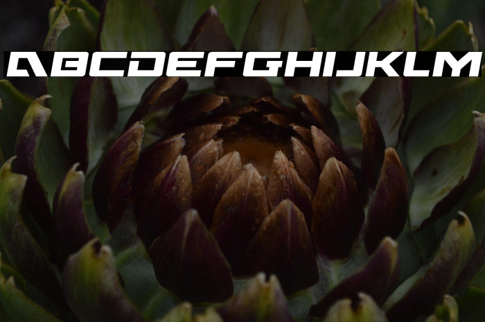 Wildcard Semi-Italic Example 3