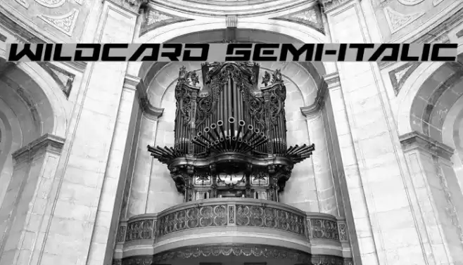 Wildcard Semi-Italic Font examples