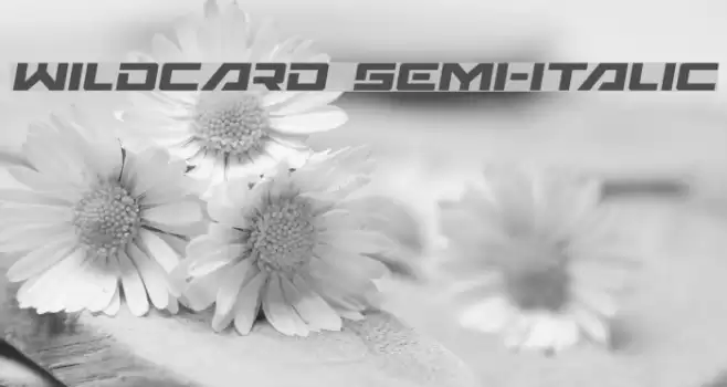 Wildcard Semi-Italic Font examples
