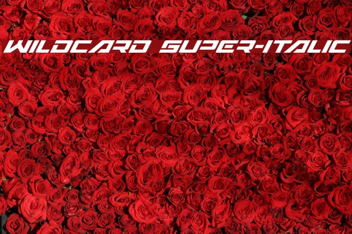 Wildcard Super-Italic Font examples