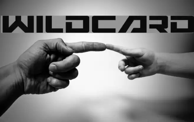 Wildcard Font examples