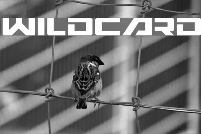 Wildcard Font examples