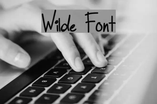 Wilde Font examples
