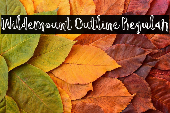 Wildemount Outline Regular Example 1