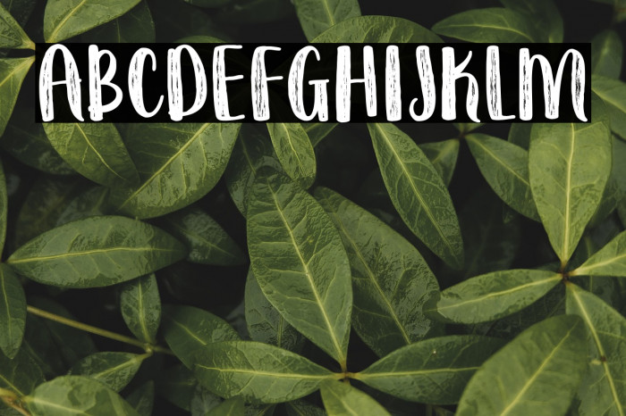 Wildemount Rough Example 2