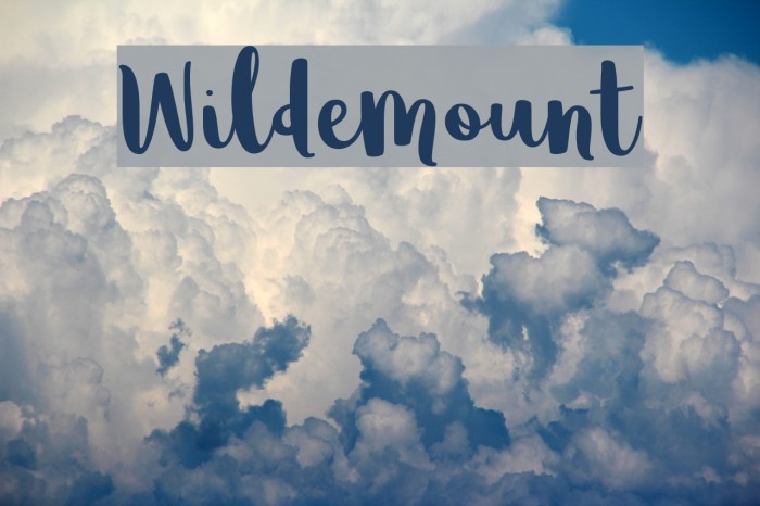 Wildemount Fuentes examples