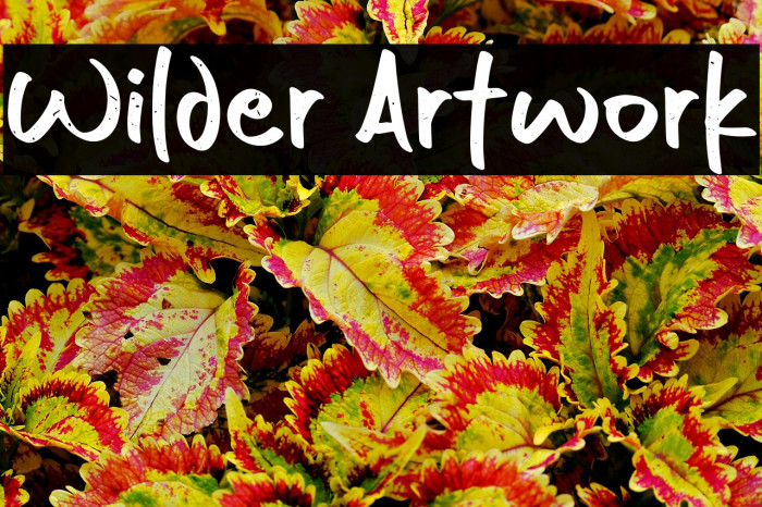 Wilder Artwork Example 2