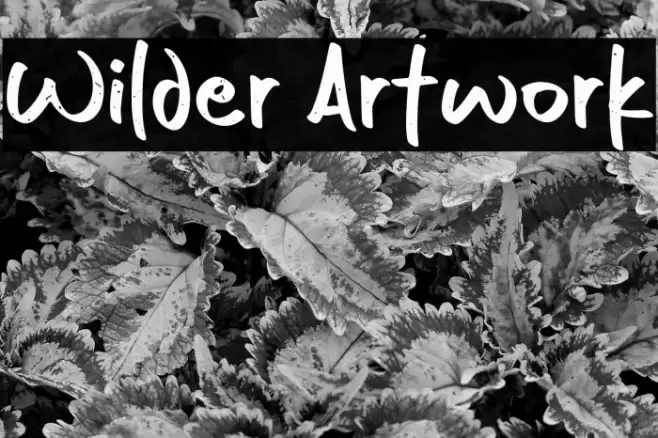 Wilder Artwork Font examples