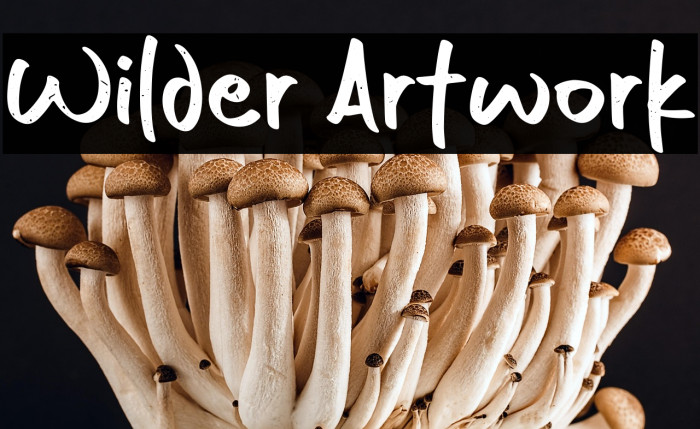 Wilder Artwork Example 3