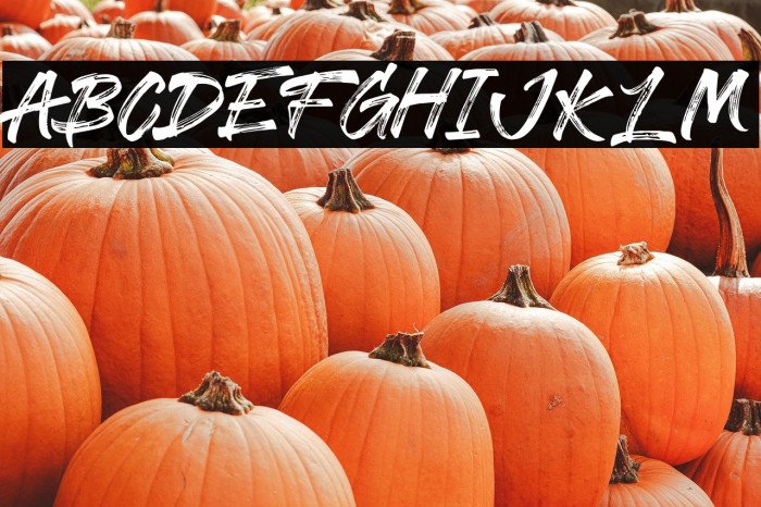 Wilderness Example 3