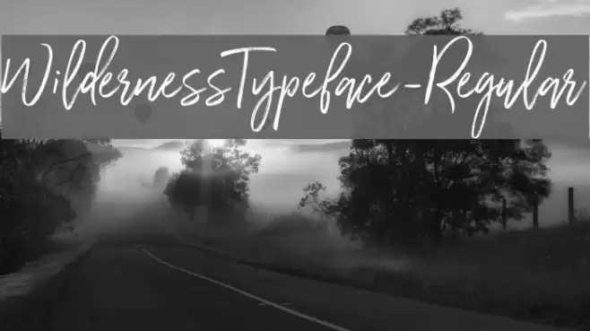 WildernessTypeface-Regular フォント examples