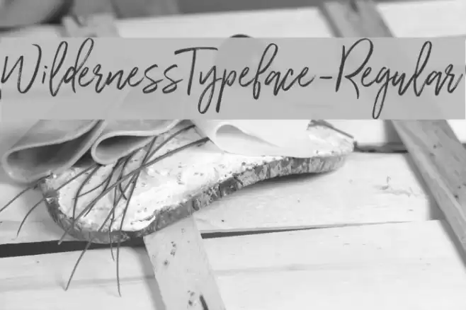 WildernessTypeface-Regular フォント examples