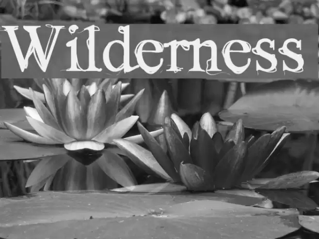 Wilderness Font examples