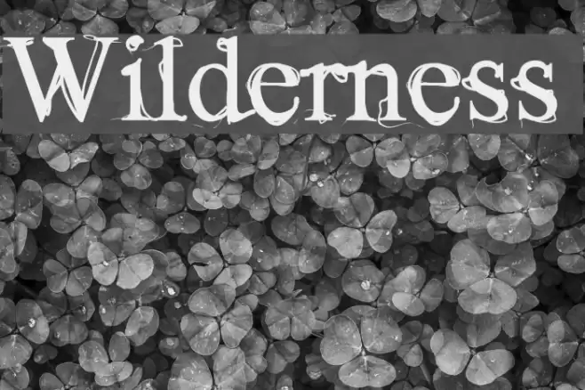 Wilderness Font examples