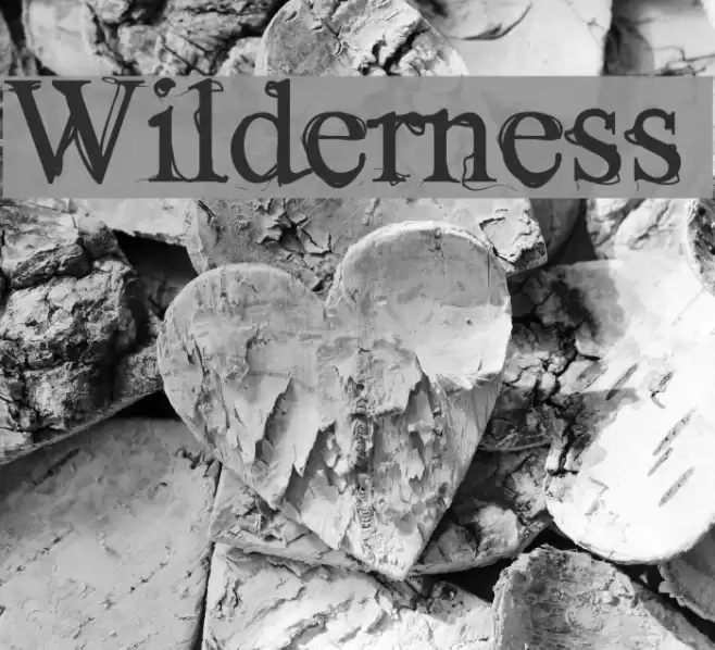 Wilderness Font examples