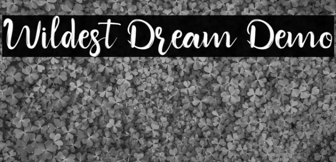 Wildest Dream Demo Font examples